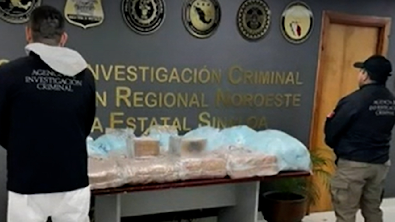 Aseguran más de un millón de pastillas de fentanilo ocultas en panales de abeja en Sinaloa