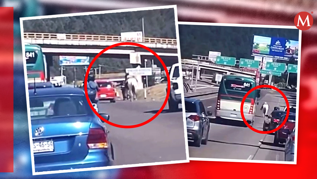 El caballo fue captado mientras andaba entre los camiones y autos | (Diseño: Milenio)