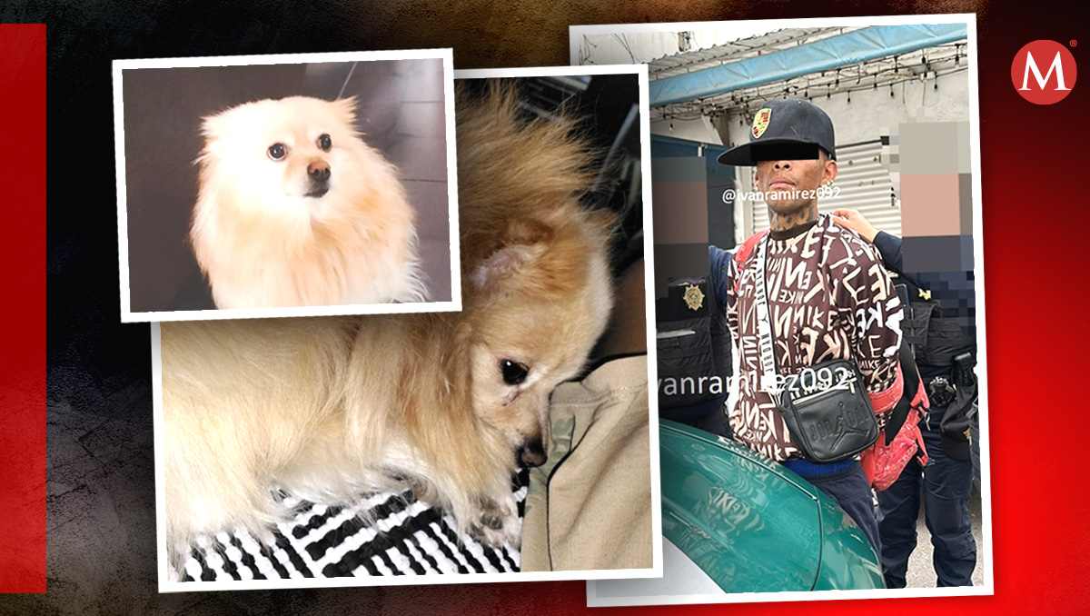 La familia de la perra denunció los hechos, pero Dina no ha aparecido.