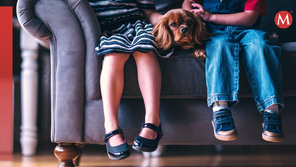 Hombre acusa que su esposa de intervenir en preferencias sexuales de su hijo. | ESPECIAL