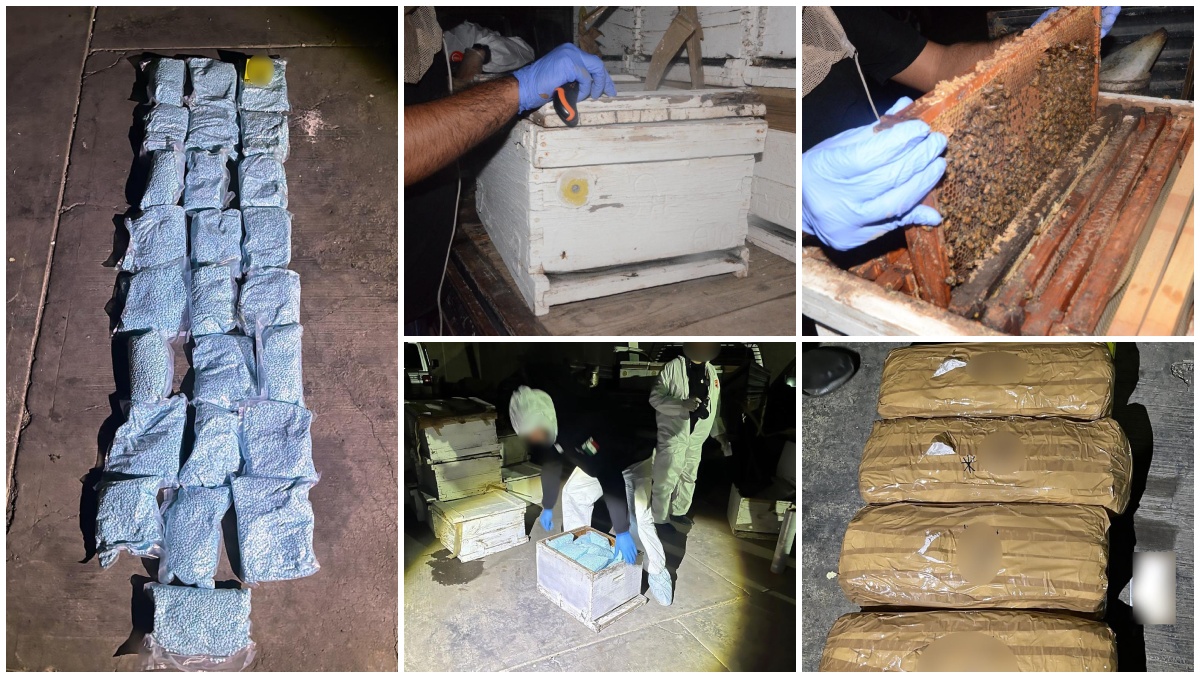 Un hombre transportaba cajas de madera con panales de abejas.| Especiales