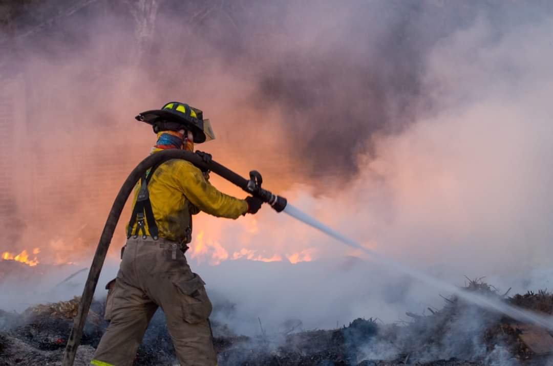 Los incendios se registraron durante el transcurso del lunes | Especial