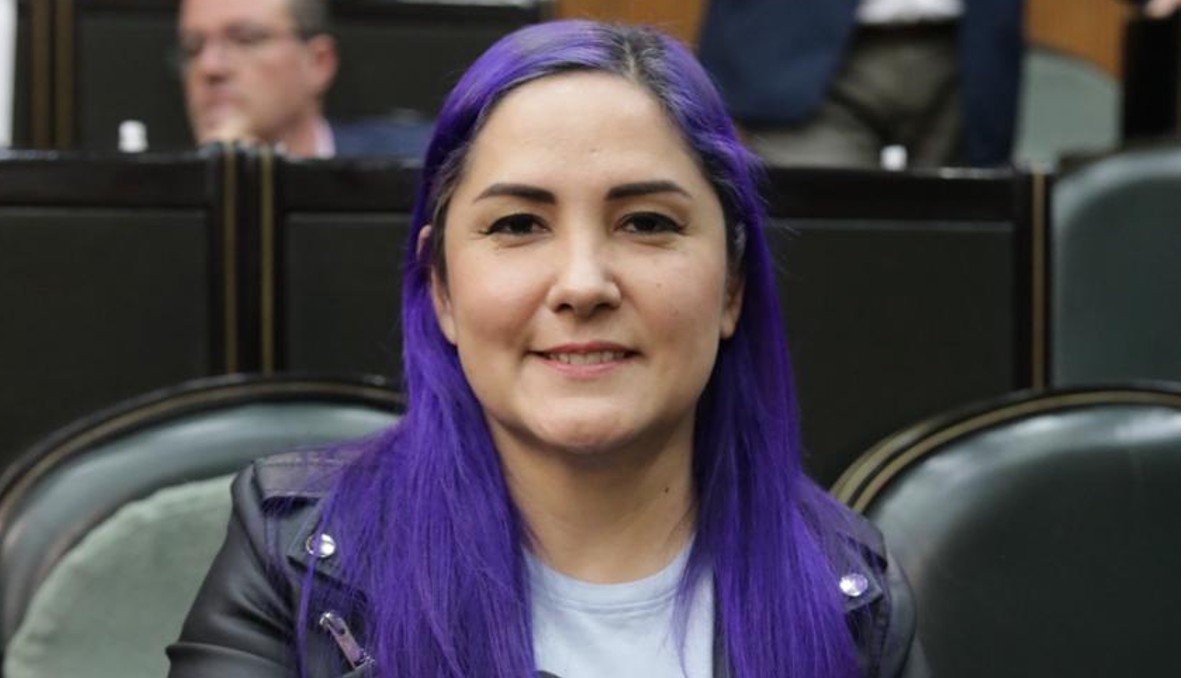 La diputada local del PRI, Jessica Martínez, presentó la iniciativa. Foto: Especial