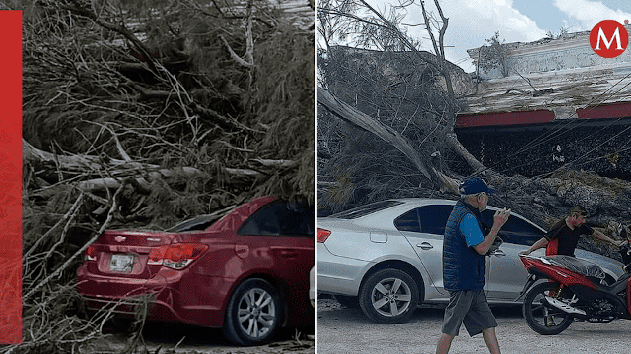 Frente frío 32 deja inundaciones, árboles caídos y una lesionada en Yucatán