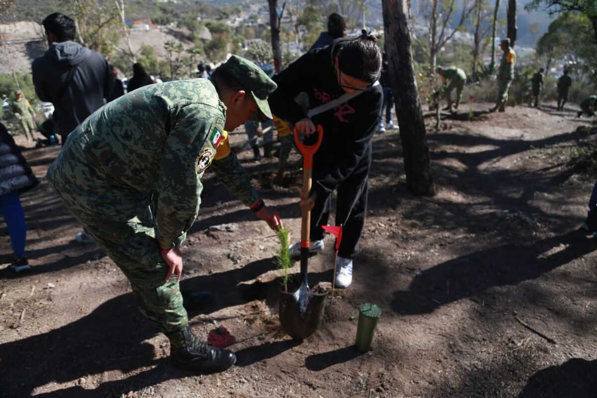 Reforestación en Pachuca. (Jorge Sánchez)
