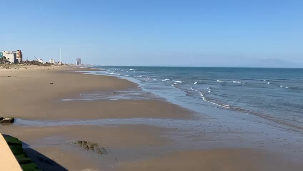 Activistas acusaron que las playas de Coatzacoalcos no son aptas para entrar a nadar. | Especial