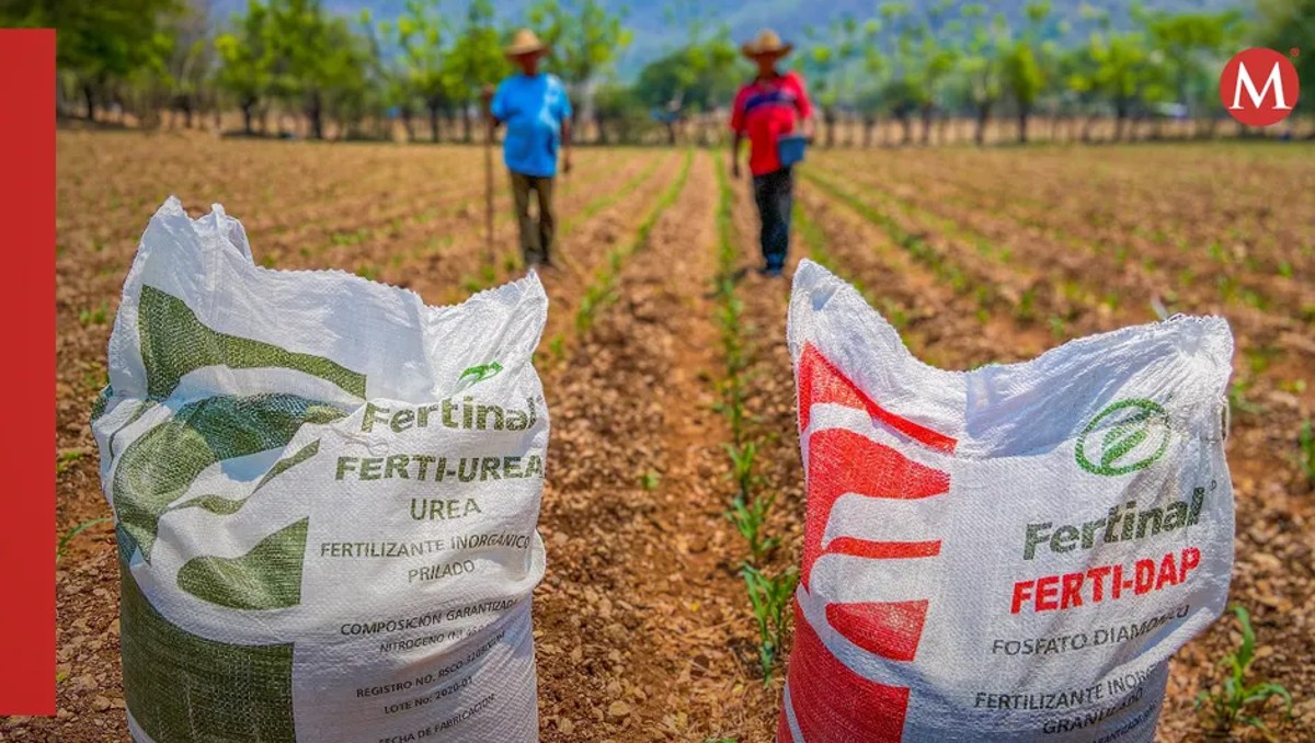 Benefician con  fertilizantes a más de 4 mil productores de Tamaulipas