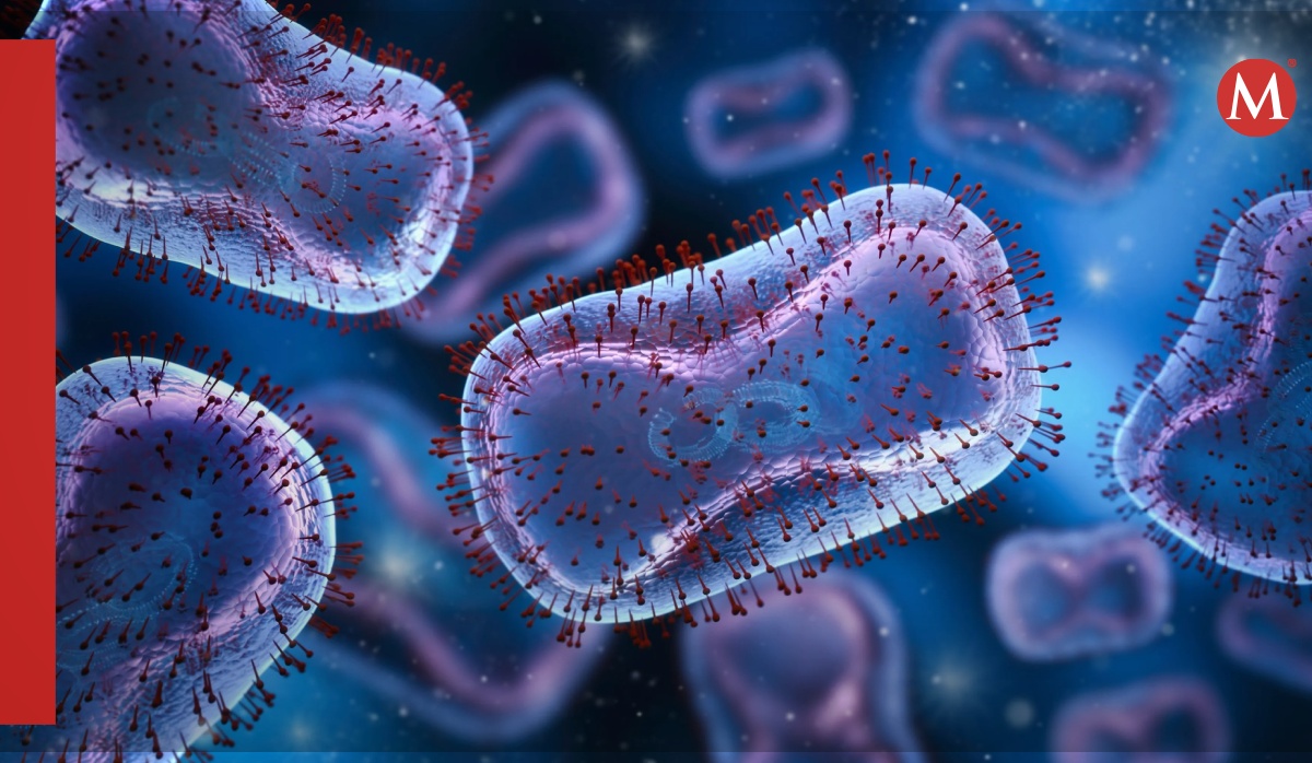 Células con capacidad para combatir la malaria