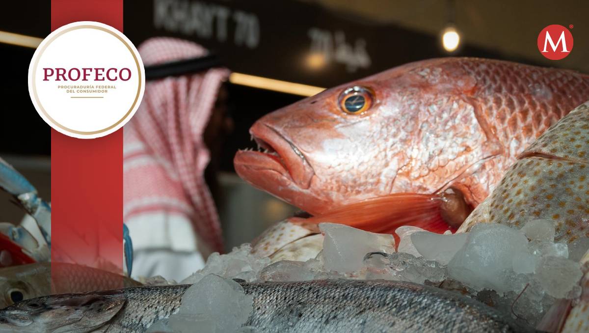 Conoce en MILENIO los precios promedio de los pescados y mariscos en 2024, según sugerencias de la Profeco. | Cuartoscuro