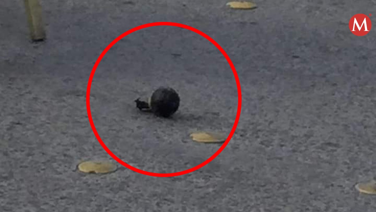 Reportan presunta granada tirada en la calle en Matamoros, Tamaulipas