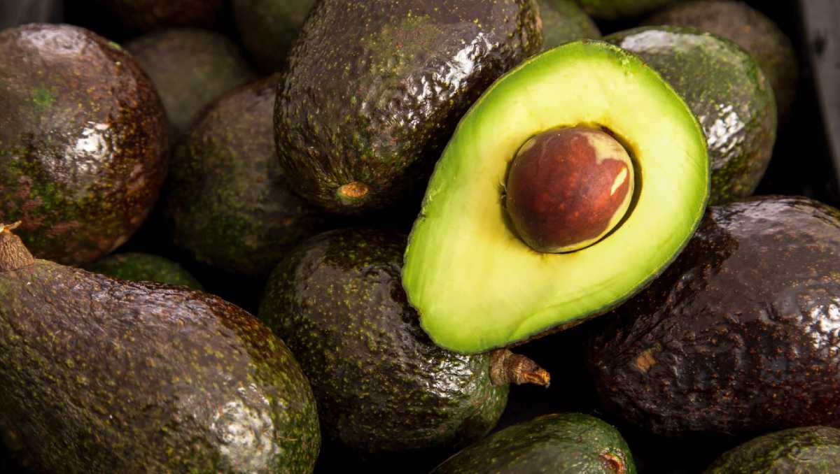 El aguacate cuesta entre 43.63 y 81 pesos a lo largo y ancho del territorio mexicano. | Especial