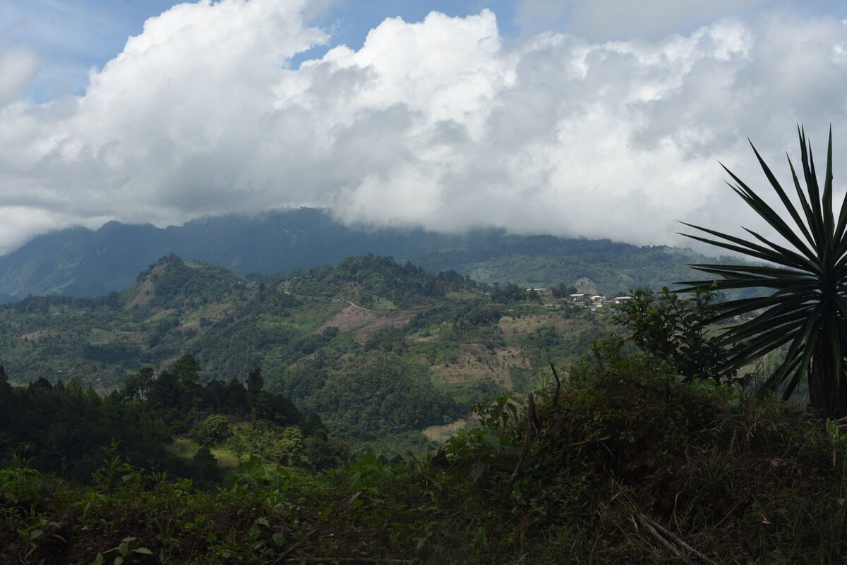 Ataque de presunto grupo delictivo deja maestros atrapados en Chiapas | Especial