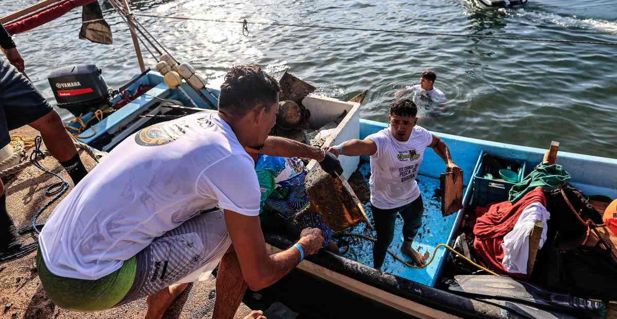 Habitantes de Guerrero realizan el primer torneo de pesca de basura para limpiar las playas de Acapulco. | Foto: EFE.