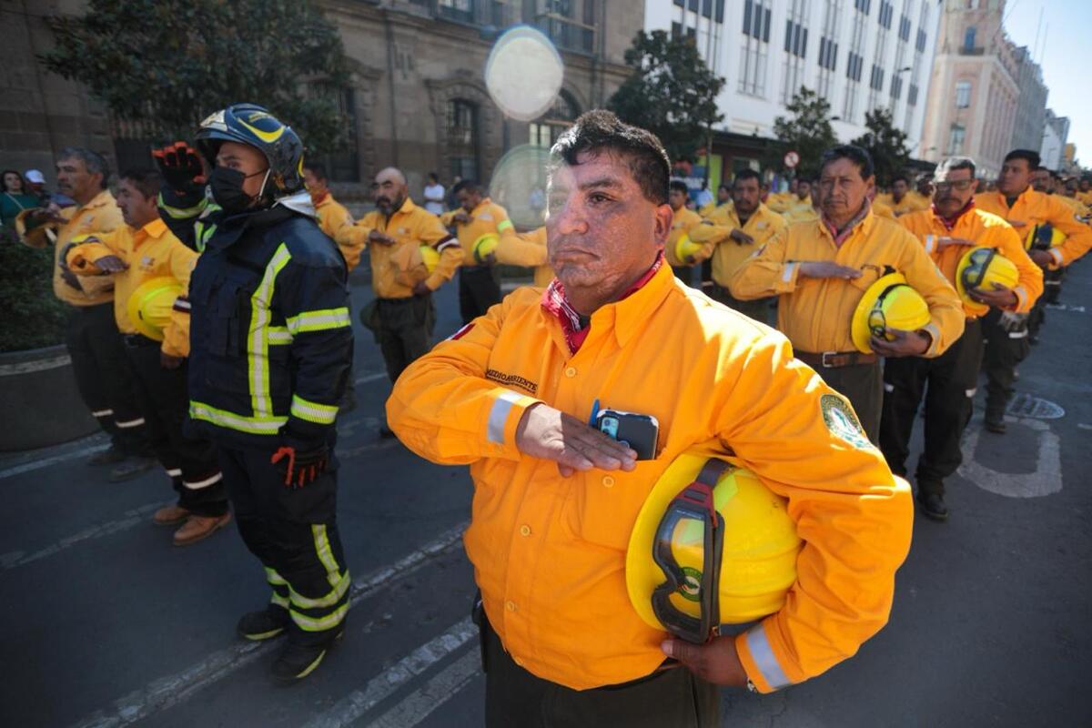 Programa para combatir incendios forestales.