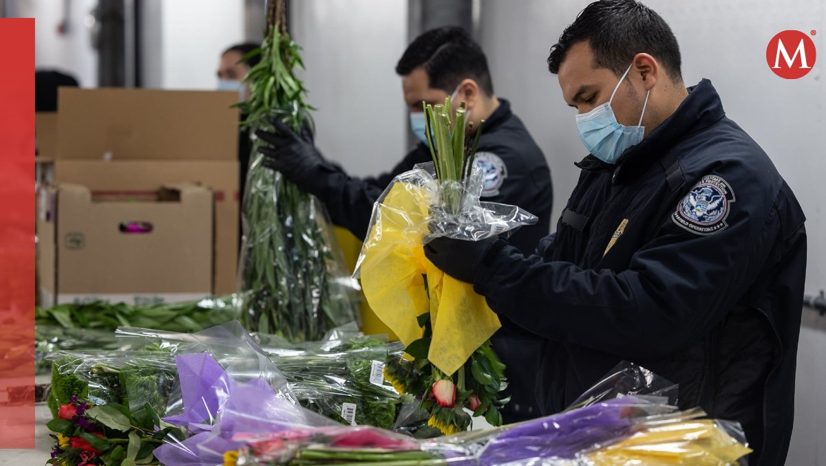 Estas flores tienen prohibido su paso a EU desde Tamaulipas