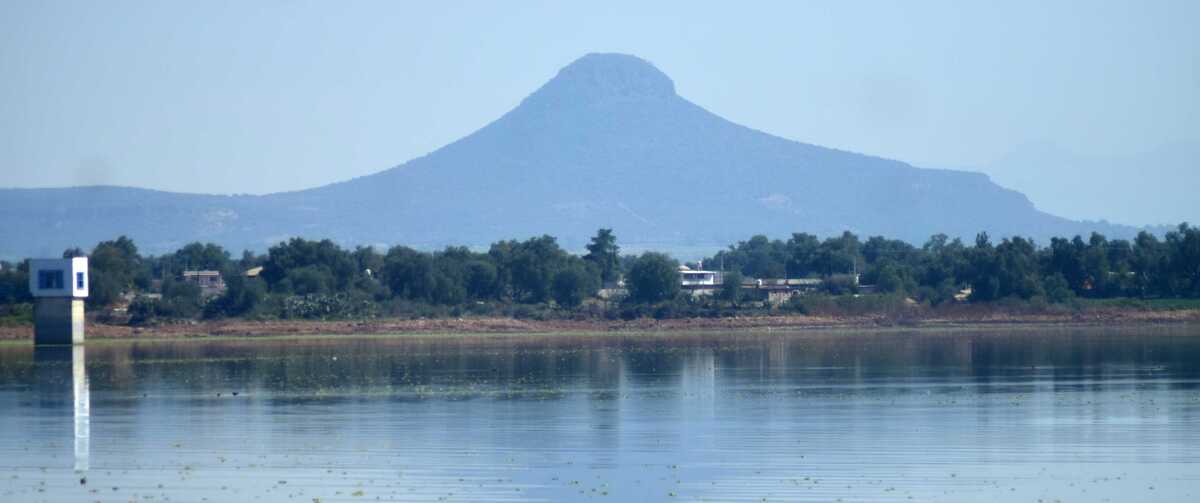 Urgen a que la región de Tula sea declarada como una zona de emergencia sanitaria para que se destinen recursos que permitan sanear el área. Francisco
