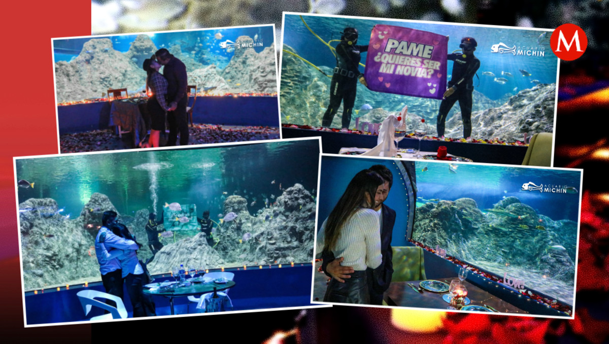 Citas románticas en el Acuario Michin de Puebla | X: @MichinPuebla