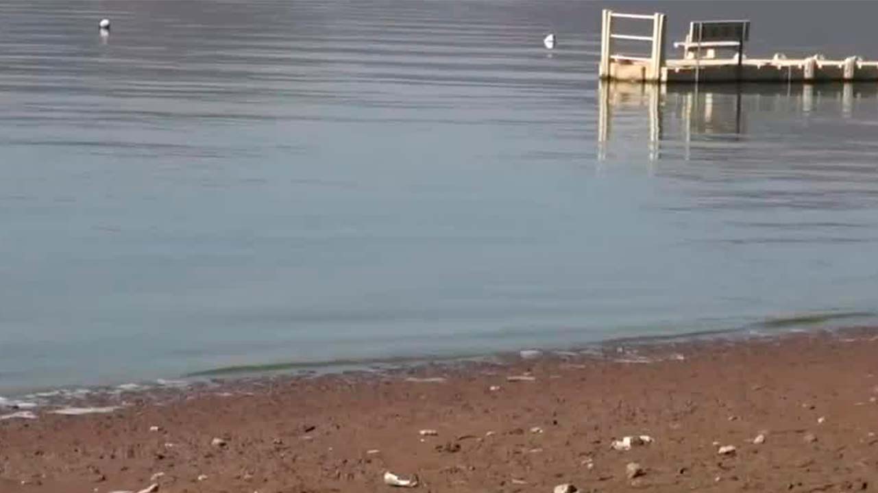 Presa "Valle de Bravo" presenta altos niveles de contaminación | Milenio Hábitat