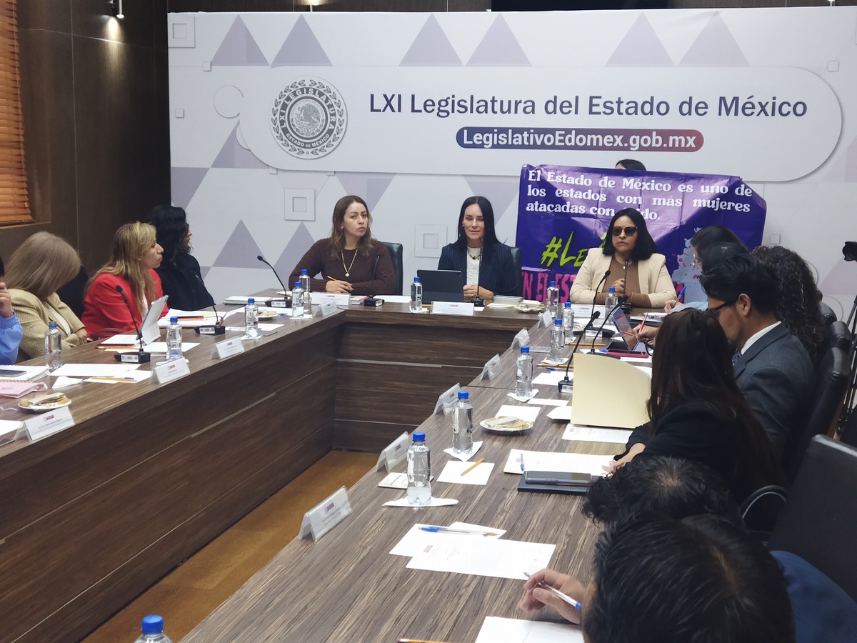 Fundación 'Carmen Sánchez'  hizo la petición ante el poder Legislativo.