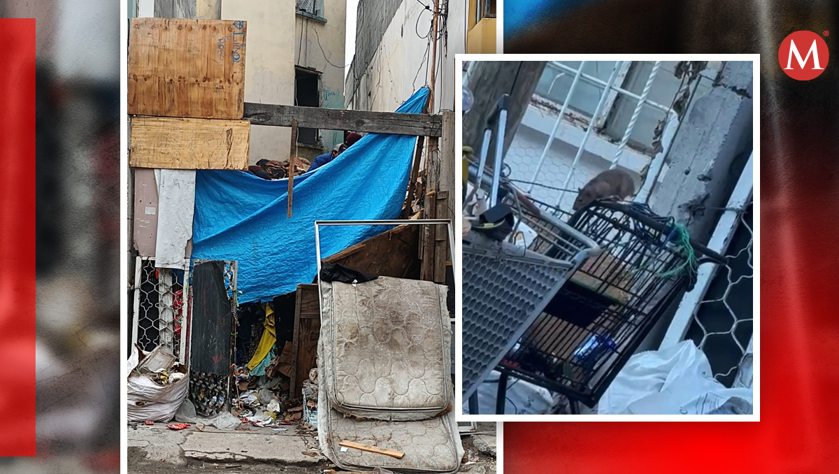La acumulación de basura en una vivienda en Guadalupe ha generado una plaga de ratas grandes. Foto: Israel Santacruz