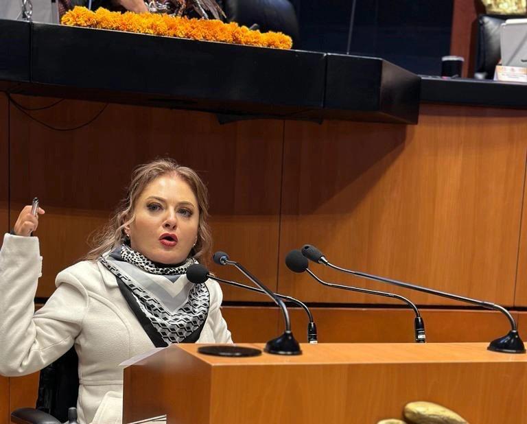 Senadora Claudia Anaya Mota.