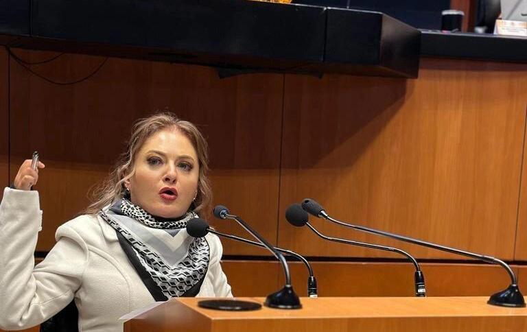 Senadora Claudia Anaya pedirá comparecencia de la Guardia Nacional- Grupo Milenio