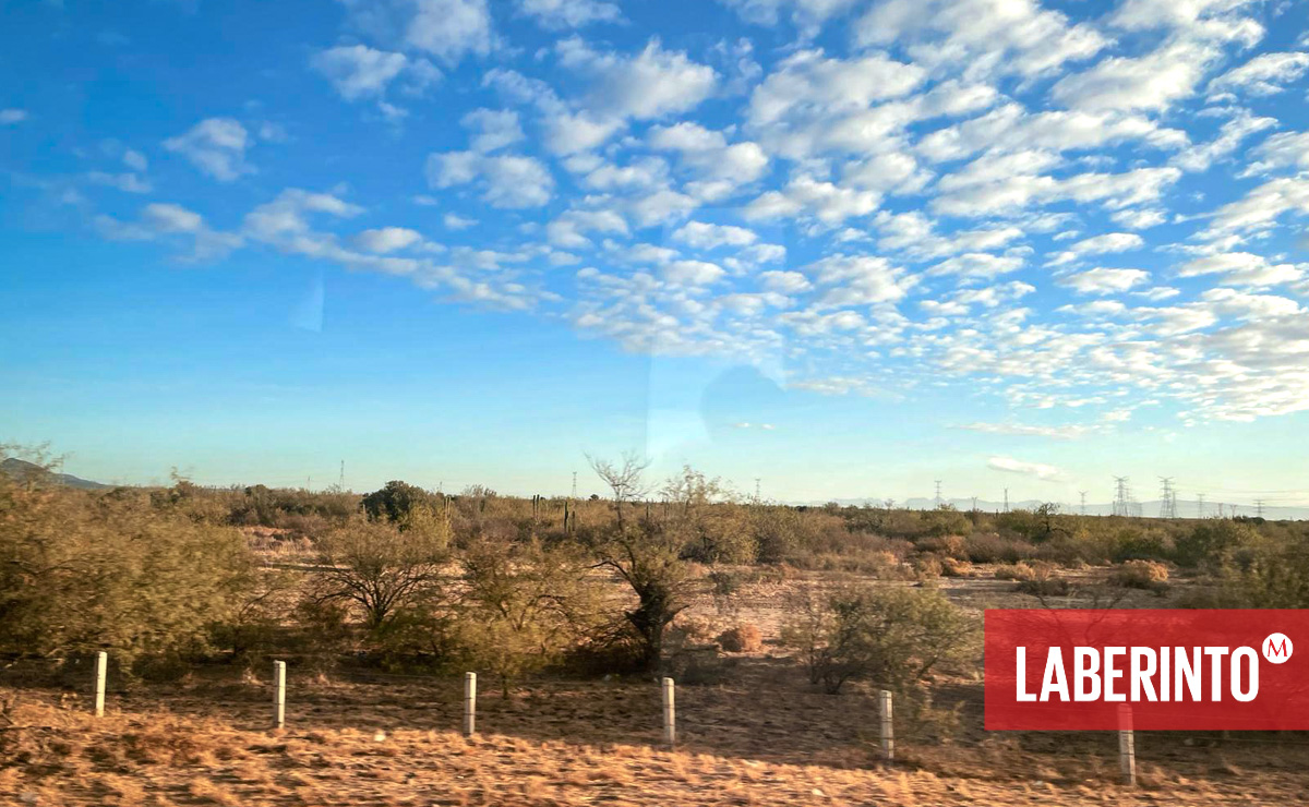 Carretera Sinaloa-Sonora. (Foto: Liliana Chávez)