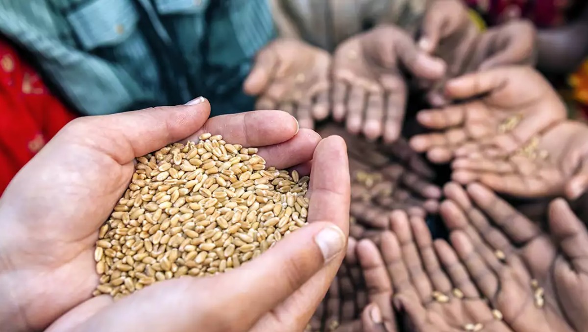 Chad declara el estado de emergencia alimentaria