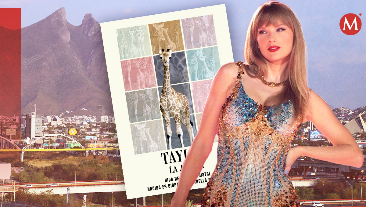 Jirafa Swiftie. Foto: Especial