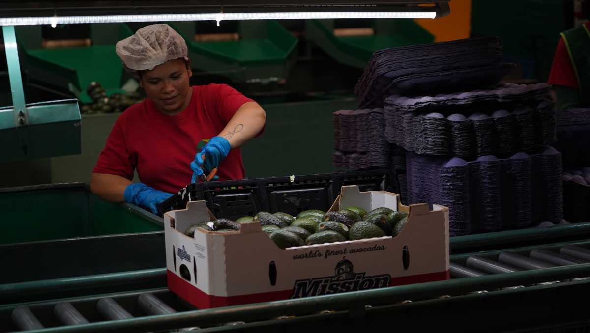 Esta es la vigésima vez que Estados Unidos invoca el acuerdo, pero la primera que lo hace en el sector alimenticio. | Cuartoscuro