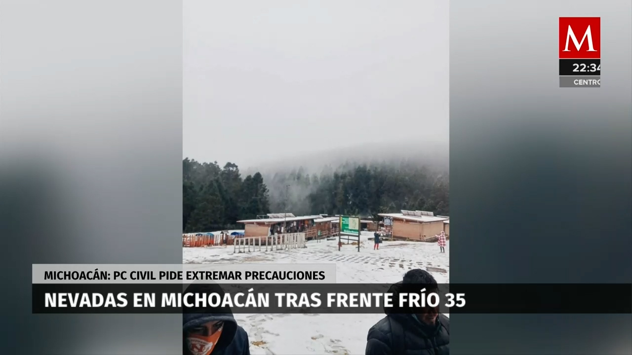 Preocupación por disminución de colonias de mariposas en santuario de Michoacán tras nevadas