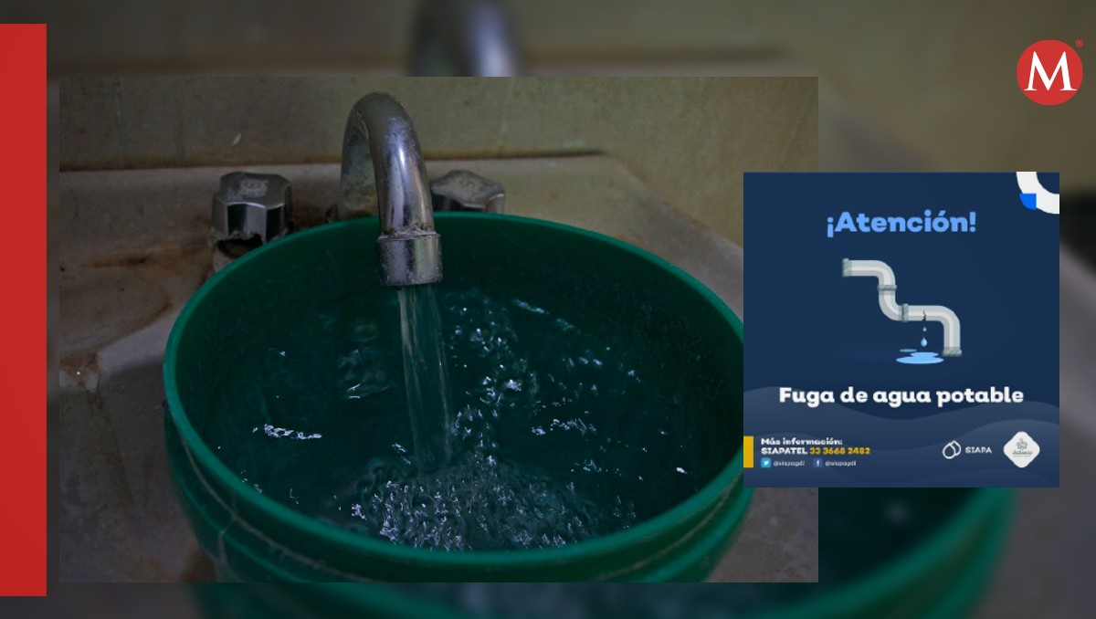 Así reportas fugas o desperdicio de agua en Jalisco (Fotos: Melanie Torres y X| Diseño: Milenio)