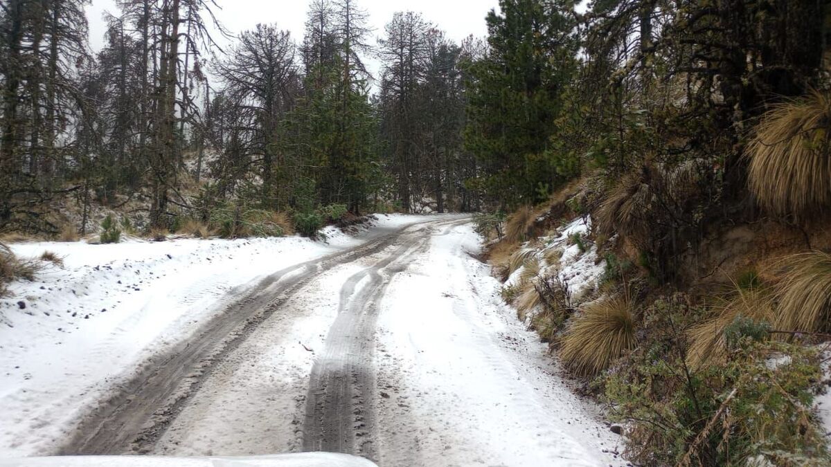 Vuelca camioneta con familia en camino al Nevado de Colima (Cortesía)