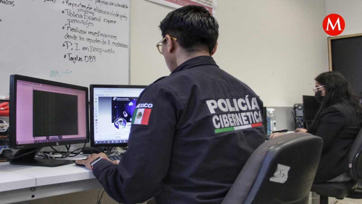 Piden a Policía Cibernética investigar licencias falsas en Puebla | Melanie Torres