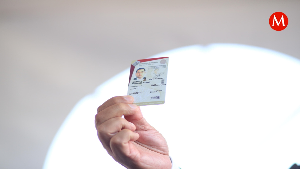 IP pide no confiar en redes y evitar fraudes en licencias en Puebla | EsImagen