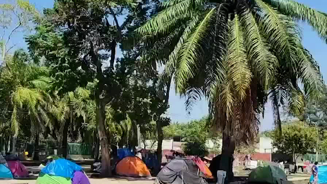En Tapachula, reportan contagio de sífilis en migrantes que ingresan por la frontera sur