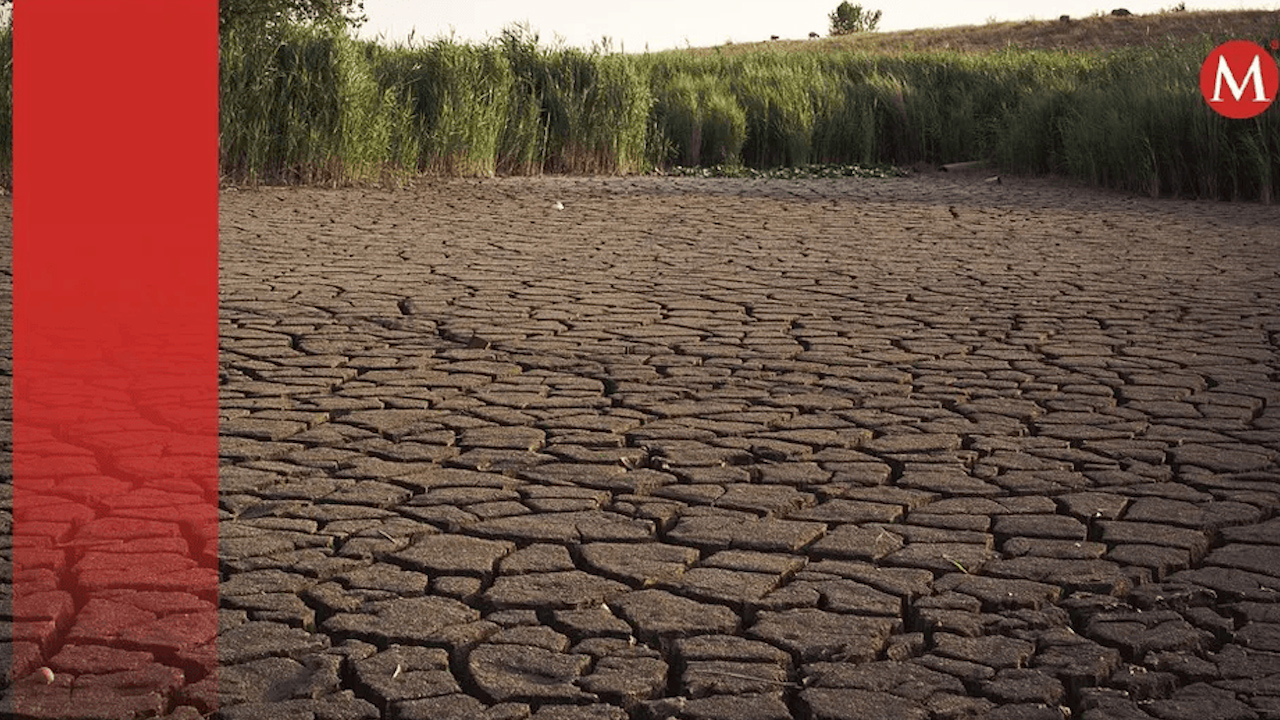 Conagua advierte hay sequía extrema en 28.4% del territorio mexicano