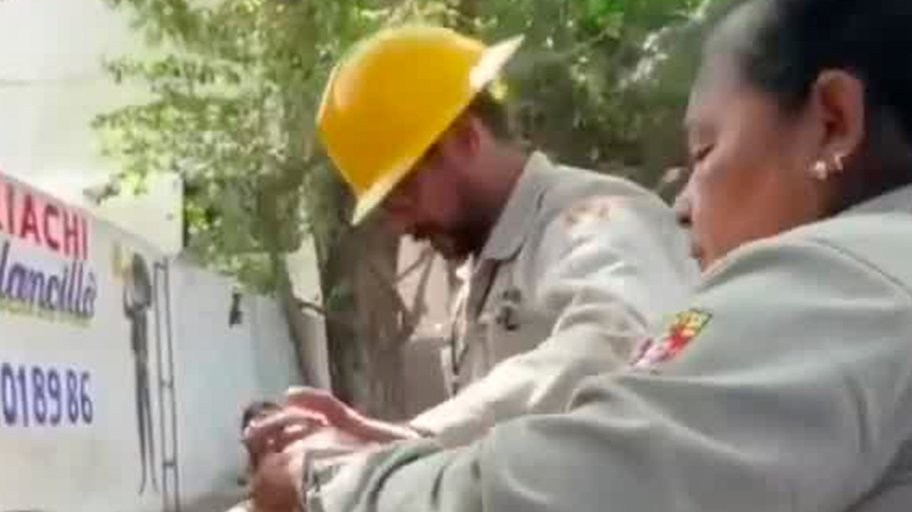 ¿Cómo está trabajando el gobierno de Oaxaca para evitar la propagación del paludismo?