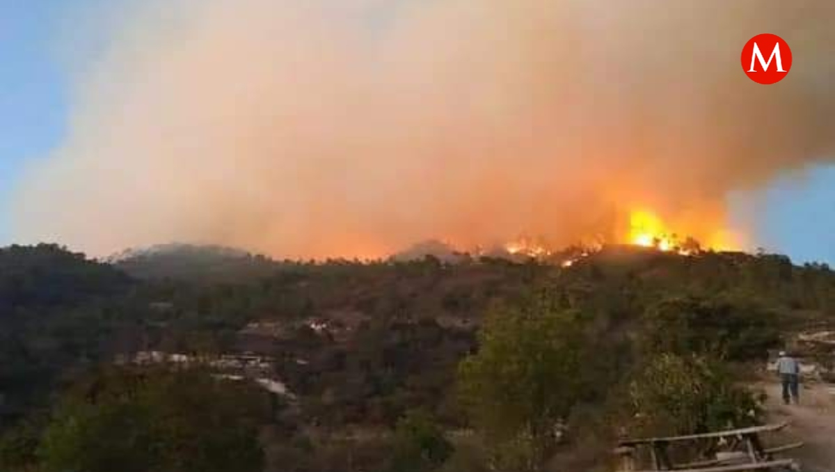 Nueva brigada podría sofocar las llamas en Ixtacamaxtitlán, Puebla | Especial