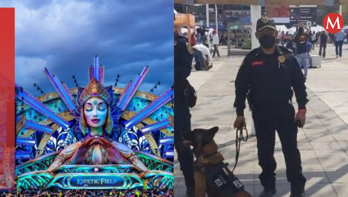 Operativos de seguridad durante el EDC | Especial