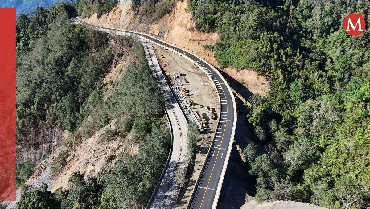 Los legisladores consideraron que este tipo de proyectos deben estar a cargo de especialistas. | Cuartoscuro