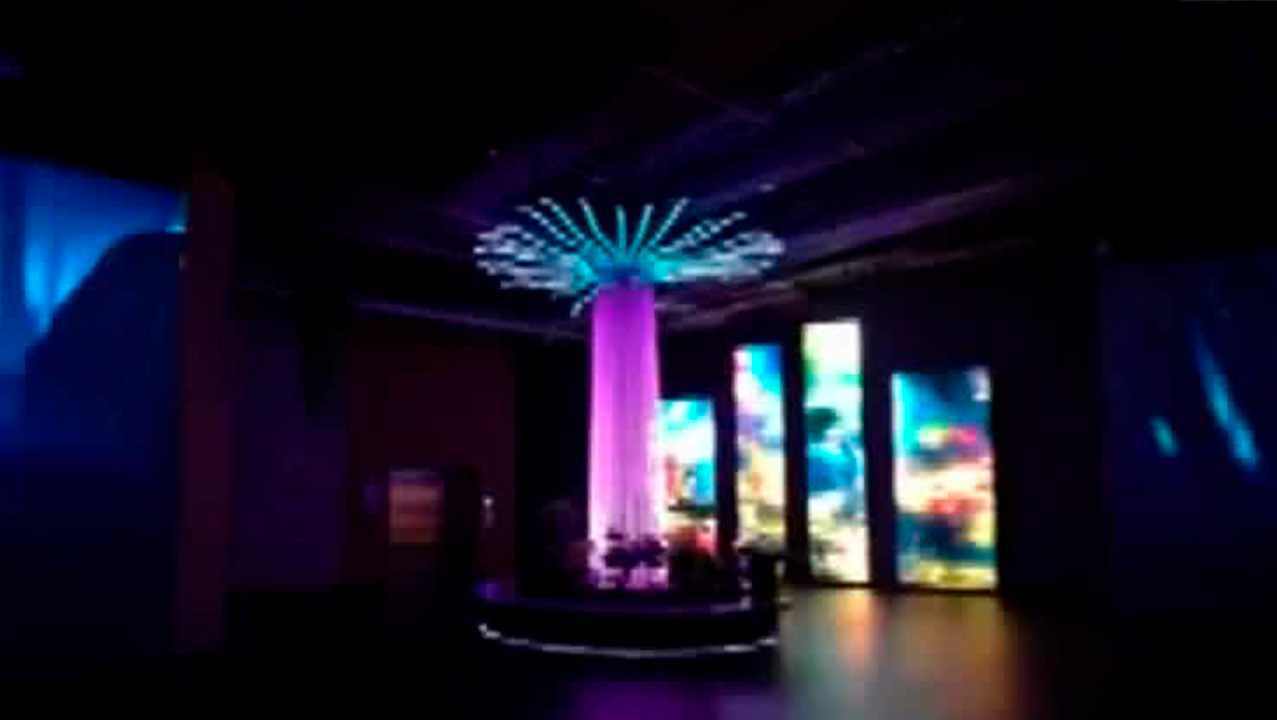 Conoce acerca de 'Yancuic', un nuevo museo en CdMx