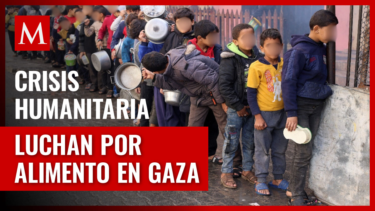 Crisis humanitaria en Gaza: Niños comen comida para animales por hambre