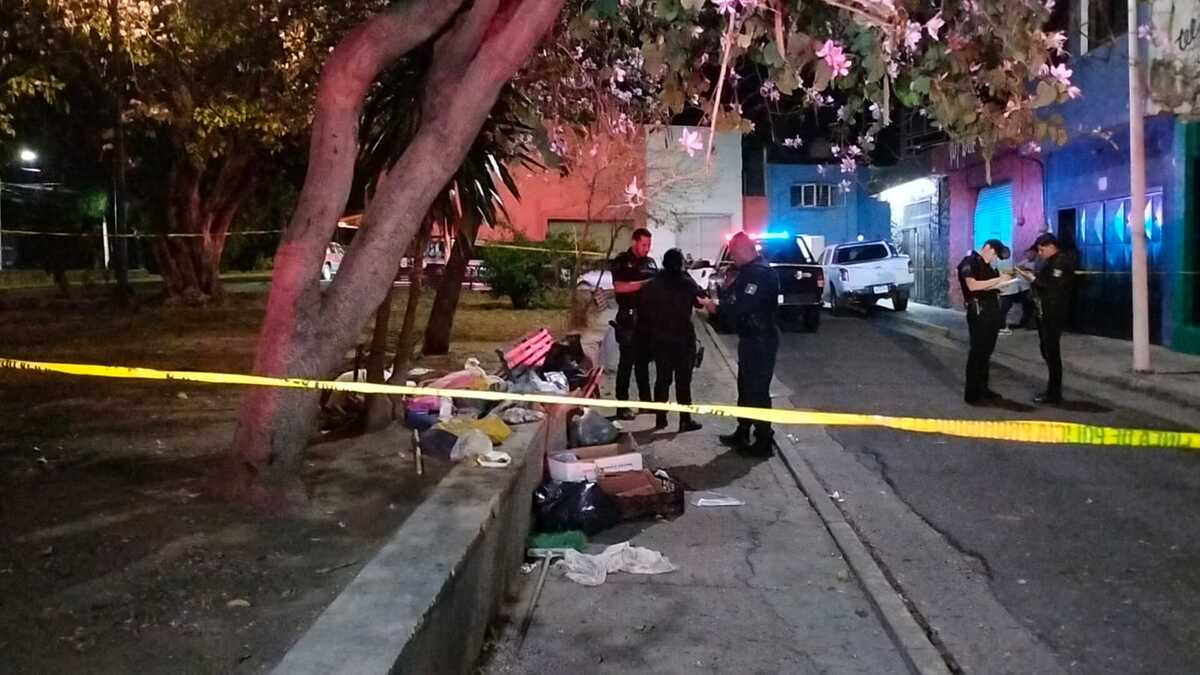 El hallazgo ocurrió en un parque de la colonia Guadalupana. (Vicente Torres)