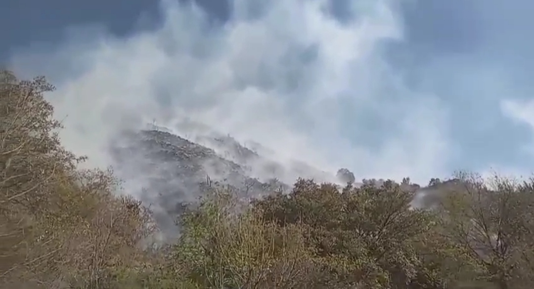 Hidalgo está en alerta por incendios.