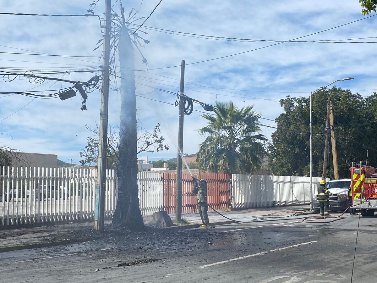 La situación movilizó a personal de Protección Civil. (Especial)