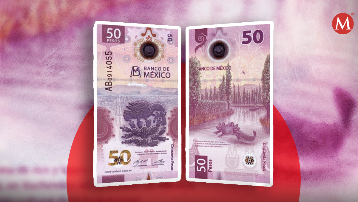 Aquí te decimos en dónde vive el ajolote de 50 pesos. | Banco de México