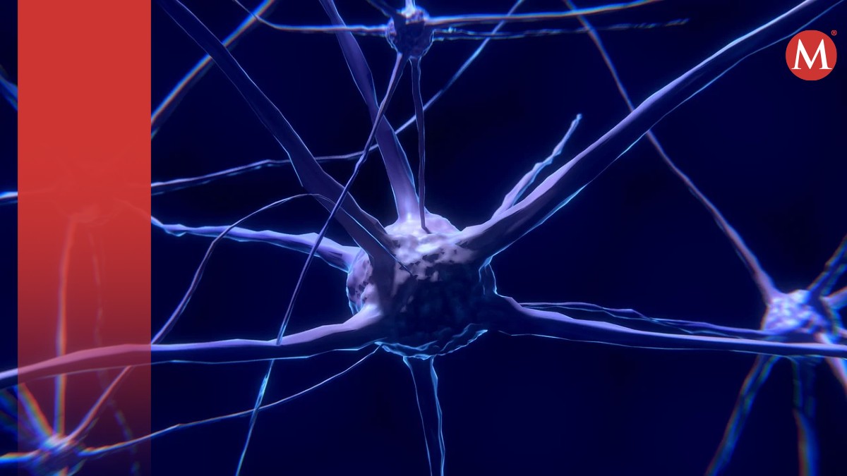 Con la técnica de Cerebro Azul los especialistas podrían conocer mejor cómo funciona este órgano | Especiales