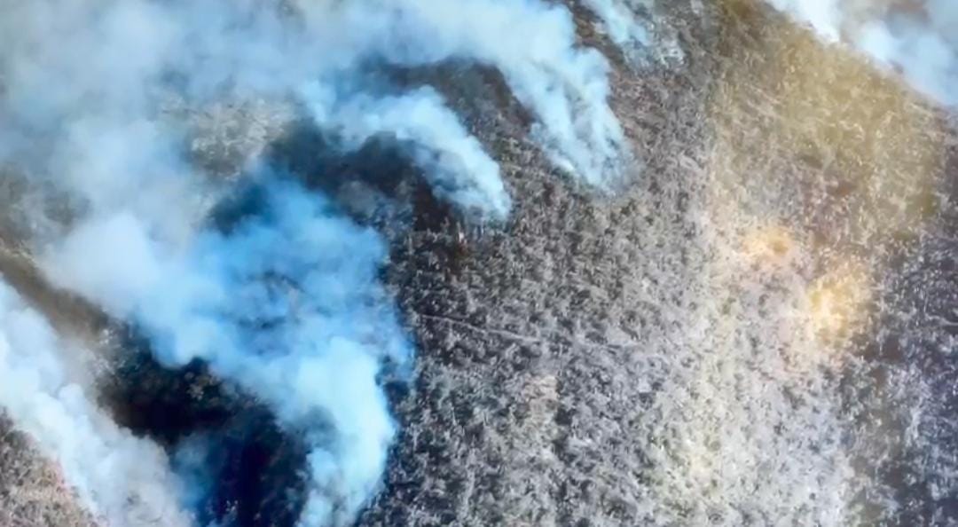 Incendio forestal en Oaxaca.