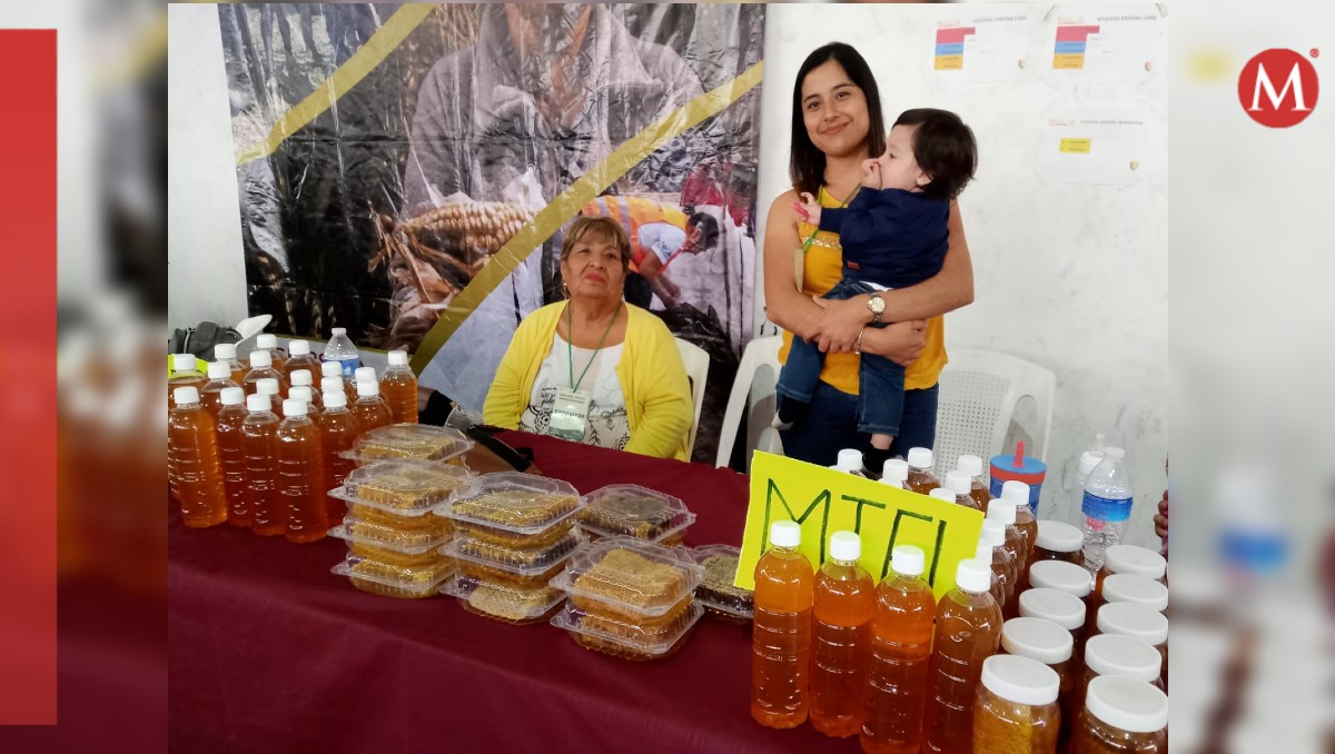 Miel del norte de Veracruz es exportada a países de Europa